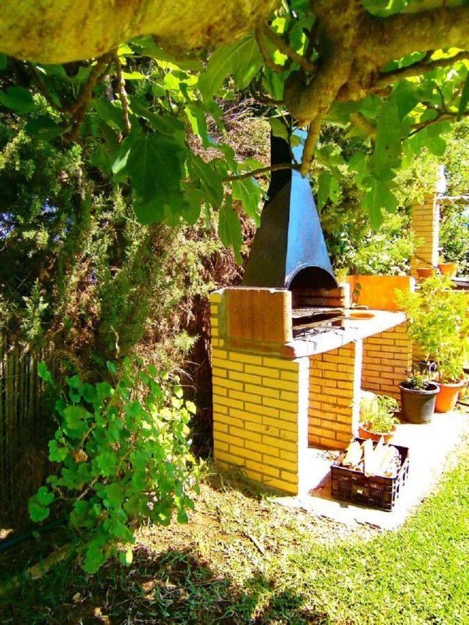 Chalet Pilahito Conil De La Frontera Eksteriør bilde